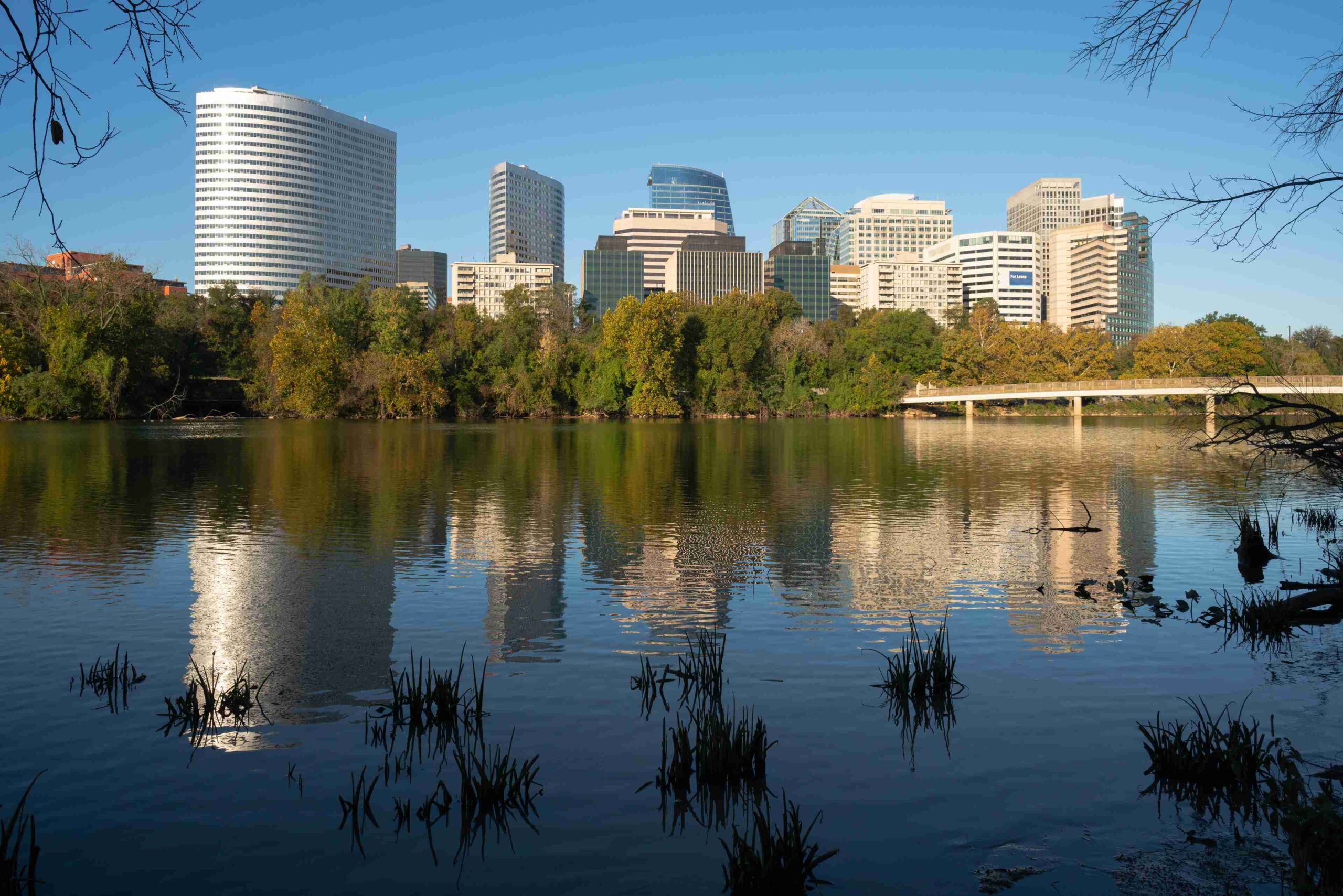 Handyman Services Arlington VA