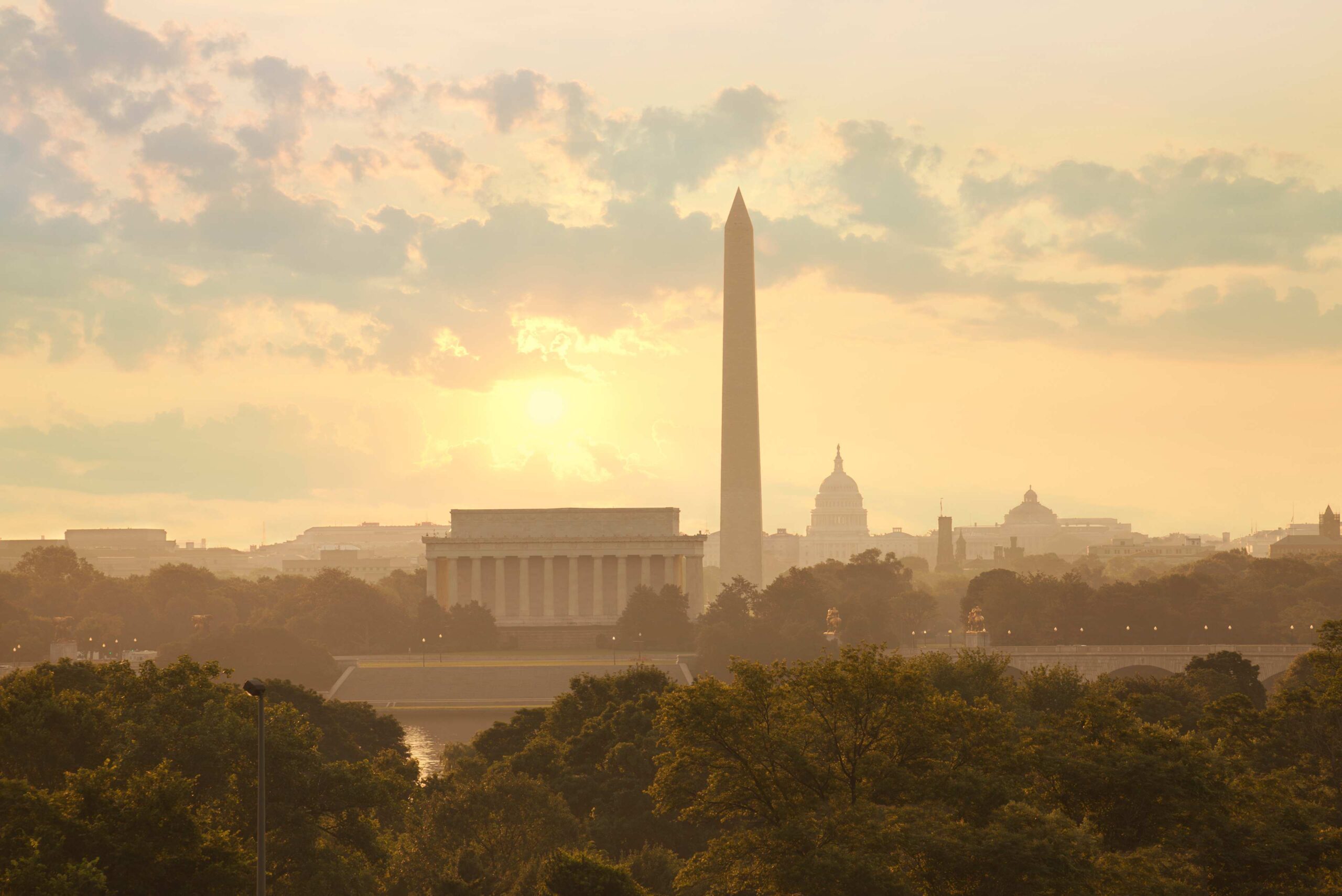 Handyman Services Washington DC